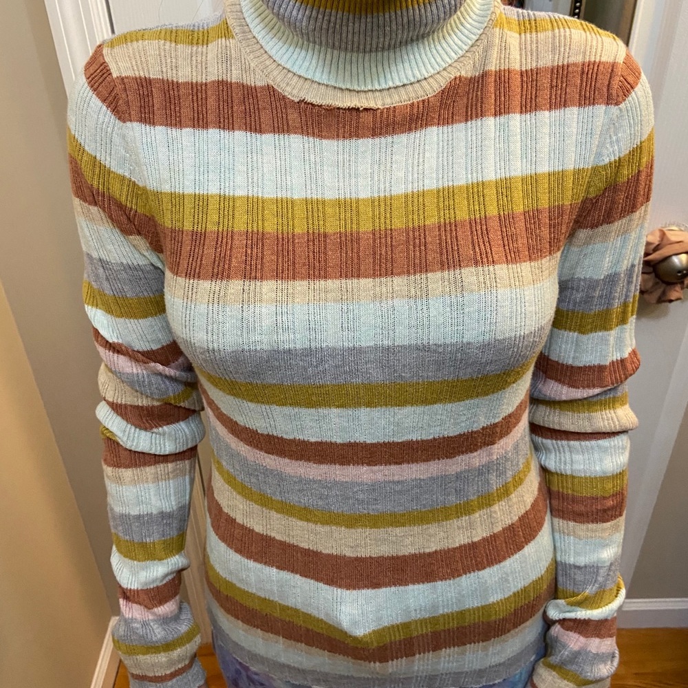 Striped Turtle Neck